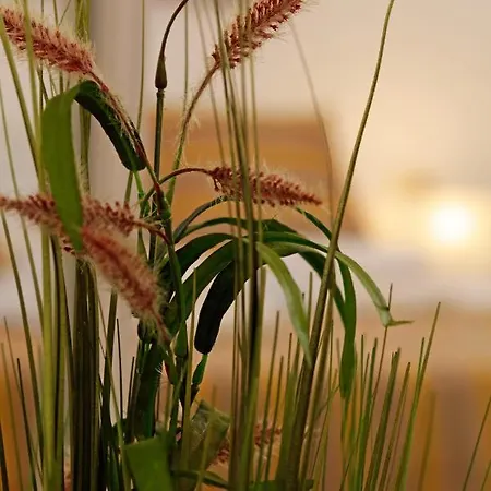 شقة Modern 2-bed Apt, Late Check In Available سبليت